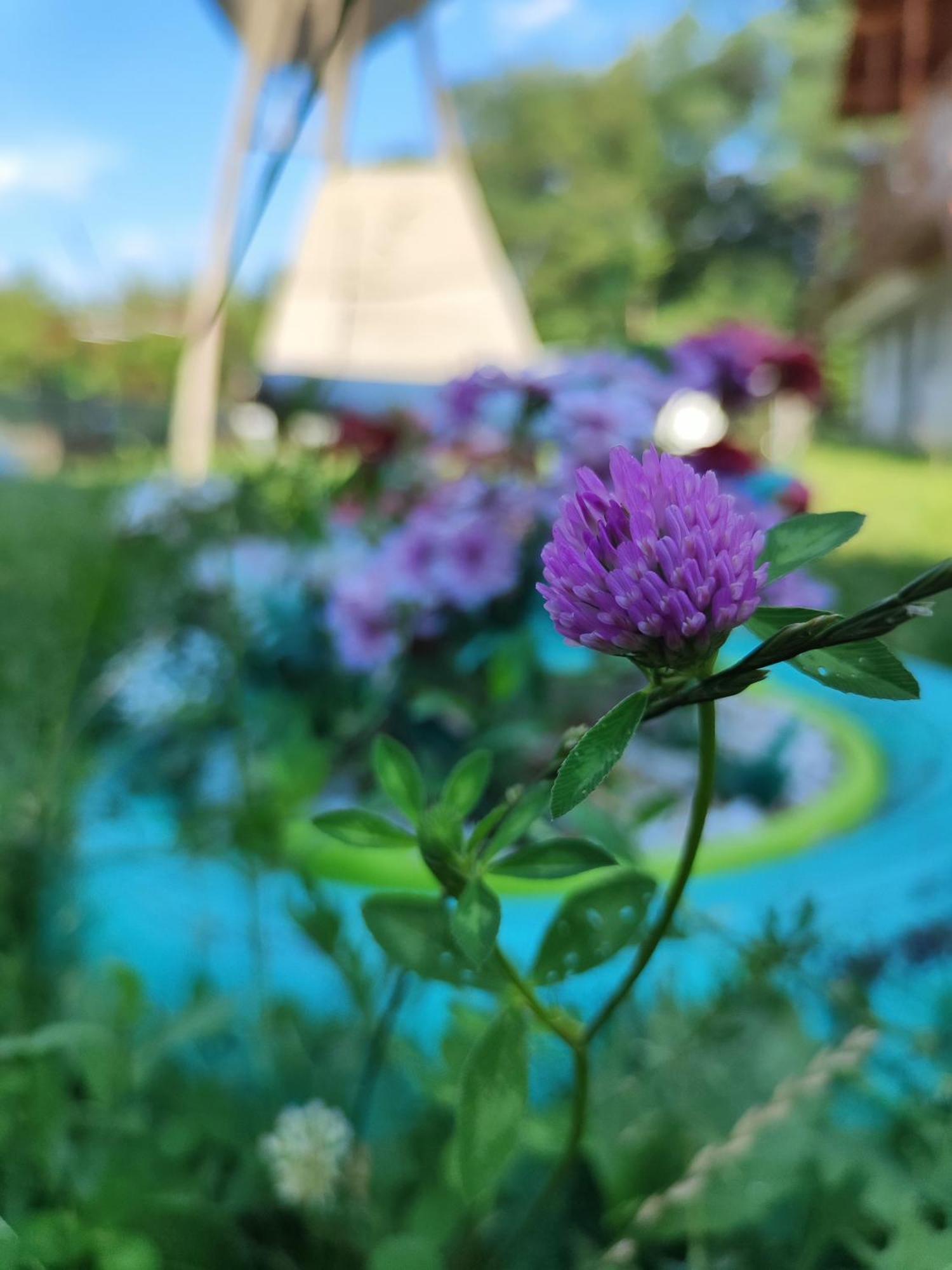Happy Home Calimanesti Ngoại thất bức ảnh